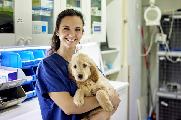 How to Find Affordable Vet Clinics for Your Pets
